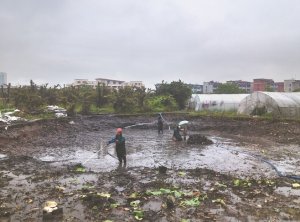 故城河道鱼塘清淤